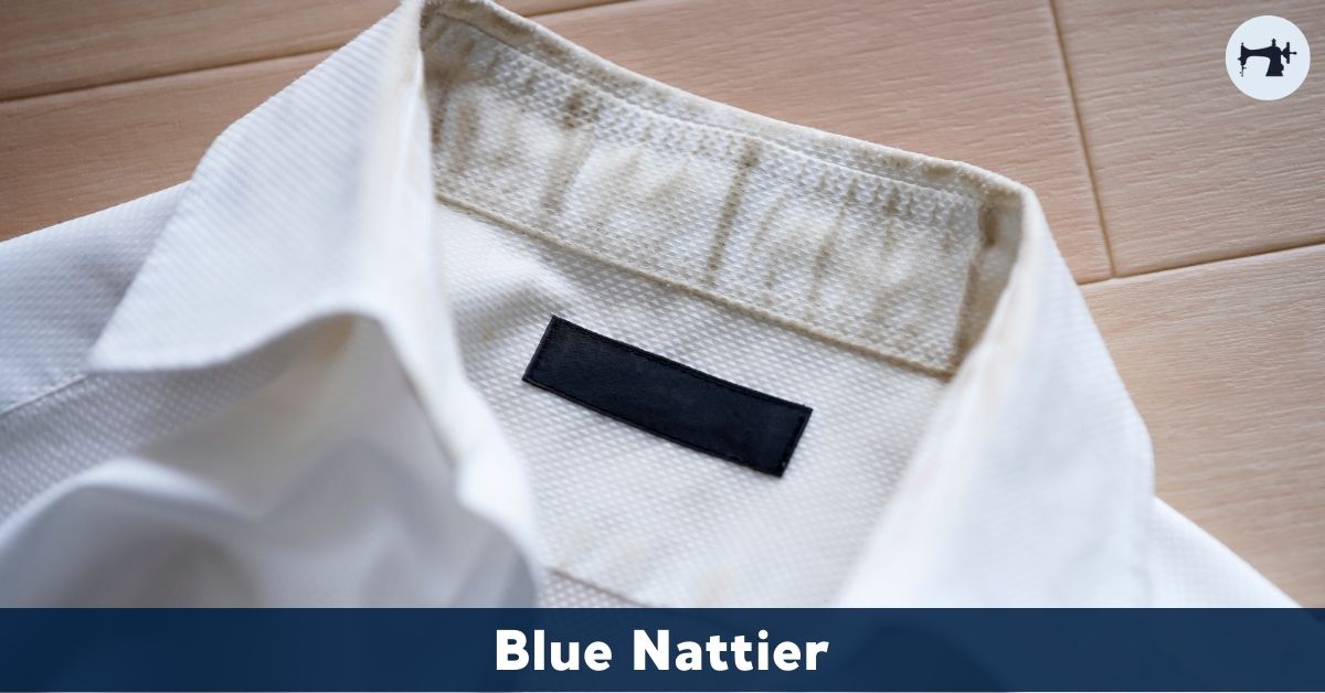 cruzar sombrero Marcado Cómo blanquear el cuello de una camisa blanca - Blue Nattier